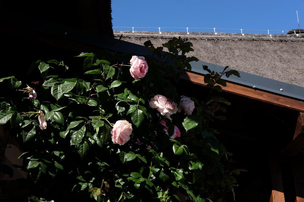 Cselling Udvarhaz Révfülöp Exterior foto